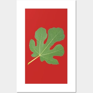 Fig Leaf Posters and Art